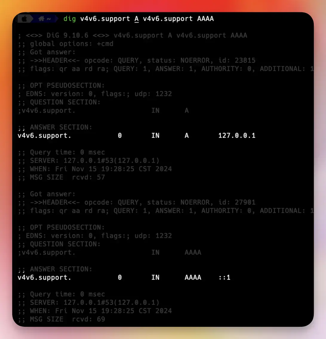 Поддержка IPv4 и IPv6